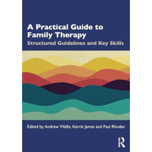 A Practical Guide to Family Therapy Paperback Book