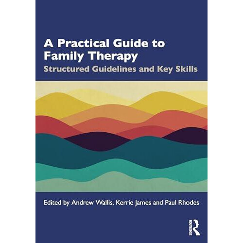 A Practical Guide to Family Therapy Paperback Book