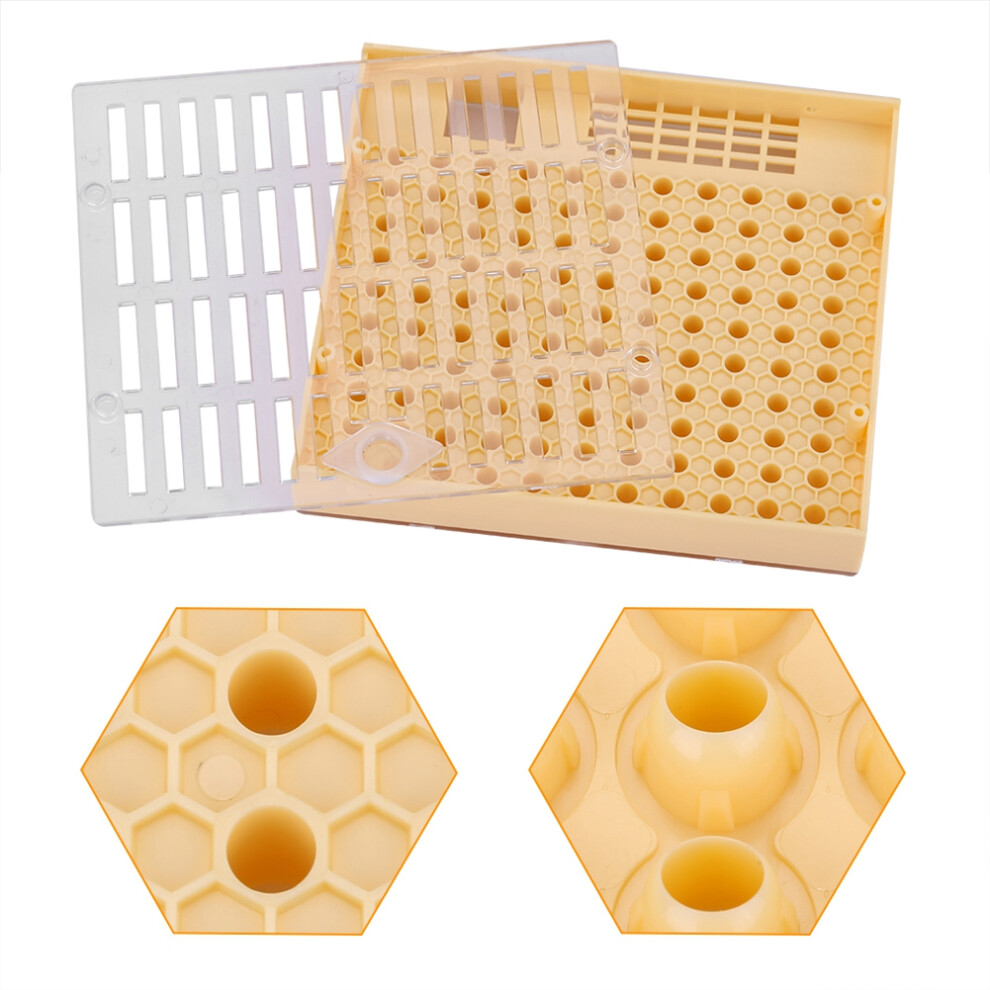 Queen Rearing Cell Cup Kit Box for Beekeepers Easy to Use 75mm Size White-image-OPC-PN5GXXF-NEW