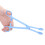 Plastik Reptilienfütterzange 19cm, langlebig, ergonomisch, blau 5