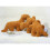 Peluche Oreiller Nugget 1