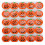25 st Halloweenpumpaformade lysande nålar 1