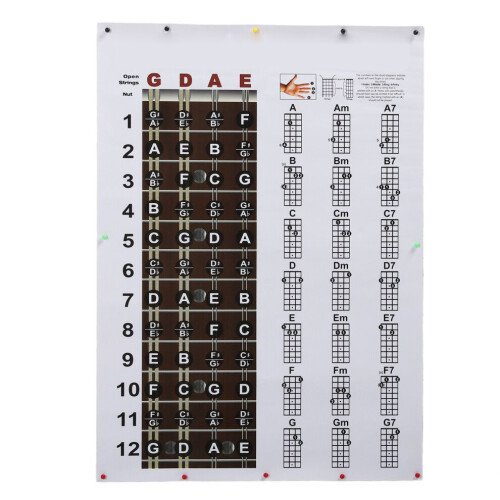Ackordschema för mandolin i HD-format