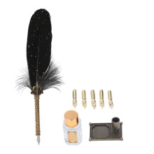 Federkiel-Set im eleganten Retro-Stil mit exquisitem Muster