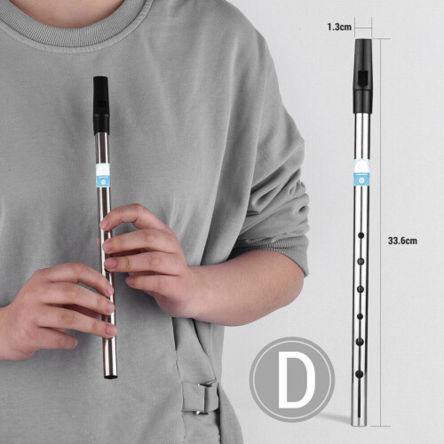 Irische Flöte, Tonart D, 6 Löcher, Flöte, Wind 1