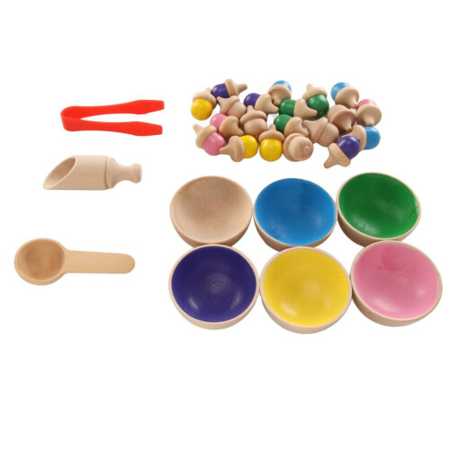 Houten kleurrijk sorteerspeelgoed: eikels, telspeelgoed 2