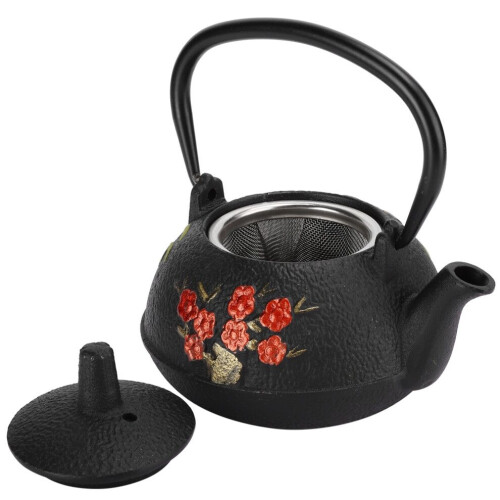 Cast Iron Tea Kettle Imitating Japanese Uncoated 1