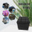 12pcs 12*12*2inch Studio Sound Insulation Foam for 3