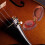 Viool, altviool, cello, professionele hars met hout 5