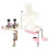 Manual Yarn Winder with Dual Head Thread Guide 3