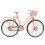 Fietsmodel Roze Gesimuleerd Ontwerp Afneembaar 1/10 1