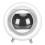 Automatic Watch Winder Preventing Magnetism Quiet 4
