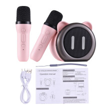 Karaoke-Maschine mit 2 drahtlosen Mikrofonen (Bluetooth)