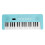 37 Key Electronic Keyboard 200 Tones 200 Rhythms 3