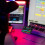 Live Sound Card Audio Recording Desktop Singing 4