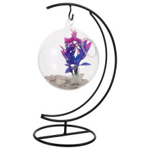 Desktop Betta Tank Mehrfunktionales Fischaquarium Fischzubehör