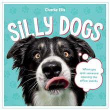 Silly Dogs by Summersdale Publishers Hardcover Book
