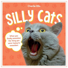 Silly Cats by Summersdale Publishers Hardcover Book