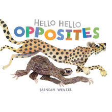 Hello Hello Opposites Other Book