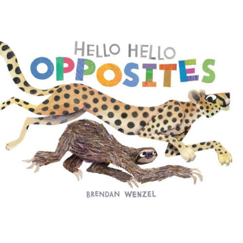 Hello Hello Opposites Other Book