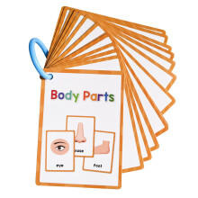 Toddler Early Learning Word Card 11cmx8cm Word-Body parts