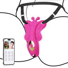 Sucking Toy Rechargeable Female GSpot Sucking Toy Panty Stimulation