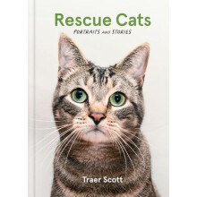 Rescue Cats by Traer Scott Hardcover Book