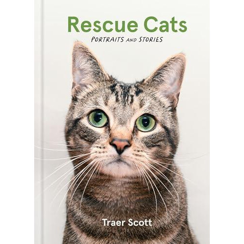Rescue Cats by Traer Scott Hardcover Book
