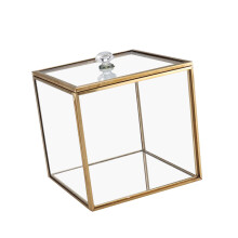 Glass Storage Case With Gold Detailing Clear Cotton Tip-8 8 8