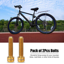 RISIKO 2 Stück Ti-Legierung M6x25mm Goldscheibenbremszylinder-Schrauben für Mountainbike