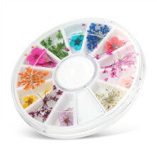 Buntes natürliches Trockenblumen-Set für Nagel- und Basteldekoration, 6x6 cm