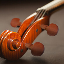 Jujube Wood Violin Fittings Set with Strings - 4/4 Size, Elegant Design