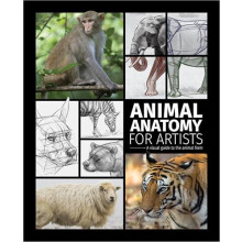Animal Anatomy for Artists Hardcover Book