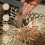 Σετ σουπλά χρυσού για μοντέρνες γιορτές, ασορτί σουβέρ, κοίλο σχέδιο που 3