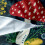 Ensemble Linge de Lit Coloré avec Champignons Microfibre 135x200CM 80X80CM 4