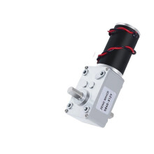 12V Single 27RPM Bidirectional Output Shaft 584031ZY Torque Worm Gear SelfLocking Electronic Starter DC 12V