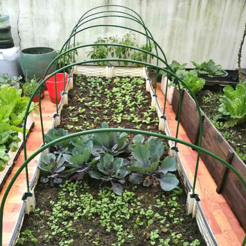 Plant Paradise, ιδανικό κάλυμμα αντικατάστασης για εξωτερικό μίνι θερμοκήπιο κήπου, 2