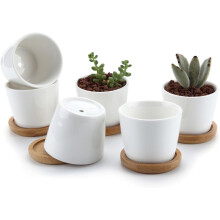 Eleganti e funzionali vasi per piante grasse, mini vasi in ceramica bianca con vassoio in bambù per un arredamento moderno e come centrotavola per