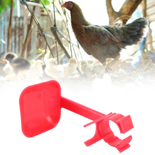 20Pcs Huhn Nippel Trinker Tassen Waterer Hängen 1