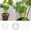 Iron Flowerpot Support Stabilizer Heavy Duty Weather-S Green 2