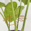 Iron Flowerpot Support Stabilizer Heavy Duty Weather-S Green 7