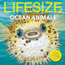 Lifesize Ocean Animals by Sophy Henn Paperback Book