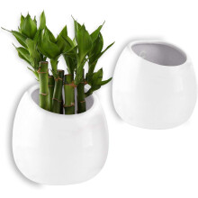 White Ceramic Planter, Indoor Outdoor Use for Succulent Hanging, Decorative Ornament with Drainage Hole, Multipurpose Wall Mountable Flower Pot, 2pcs