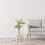 Δίσκοι φυτών εσωτερικού χώρου, κομψοί, απλοί, φωτίζουν τον κήπο, διακοσμητικό 4