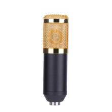 BM800 Studio Condenser Microphone Kit with Arm Stand Pop Filter & USB Adapter