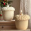 Flexible Pinecone Silicone Mould for Christmas Craft Casting and 7