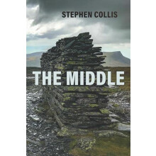 The Middle by Stephen Collis Paperback Book