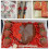 Καλούπι Σιλικόνης Roses Flowers Collection, Αντικολλητικό, Εύκολο Καθάρισμα για Δημιουργικό 7