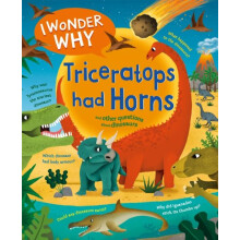 I Wonder Why Triceratops Had Horns by Rod Theodorou Paperback Book