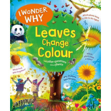 I Wonder Why Leaves Change Colour by Andrew Charman Paperback Book